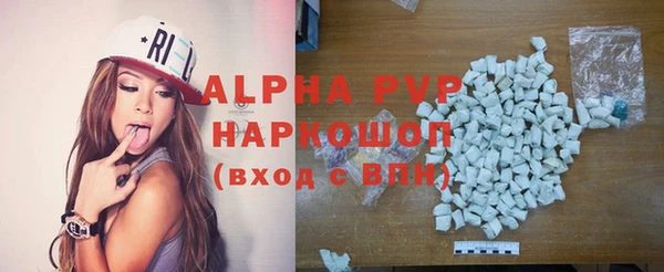 сатива Лабытнанги