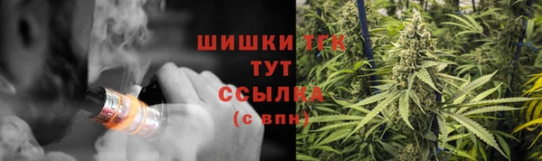 сатива Лабытнанги
