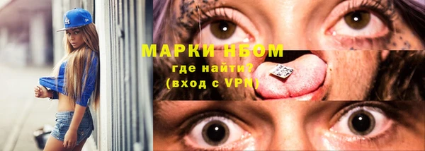 сатива Лабытнанги