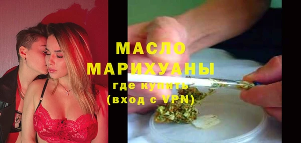 сатива Лабытнанги