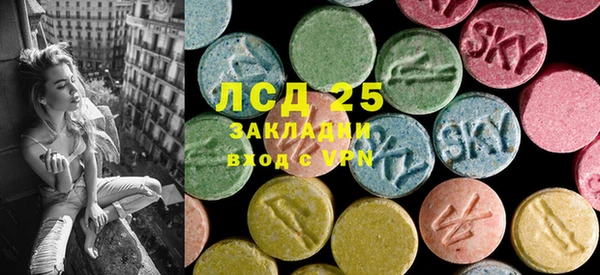 сатива Лабытнанги