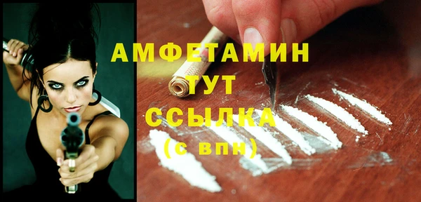 сатива Лабытнанги