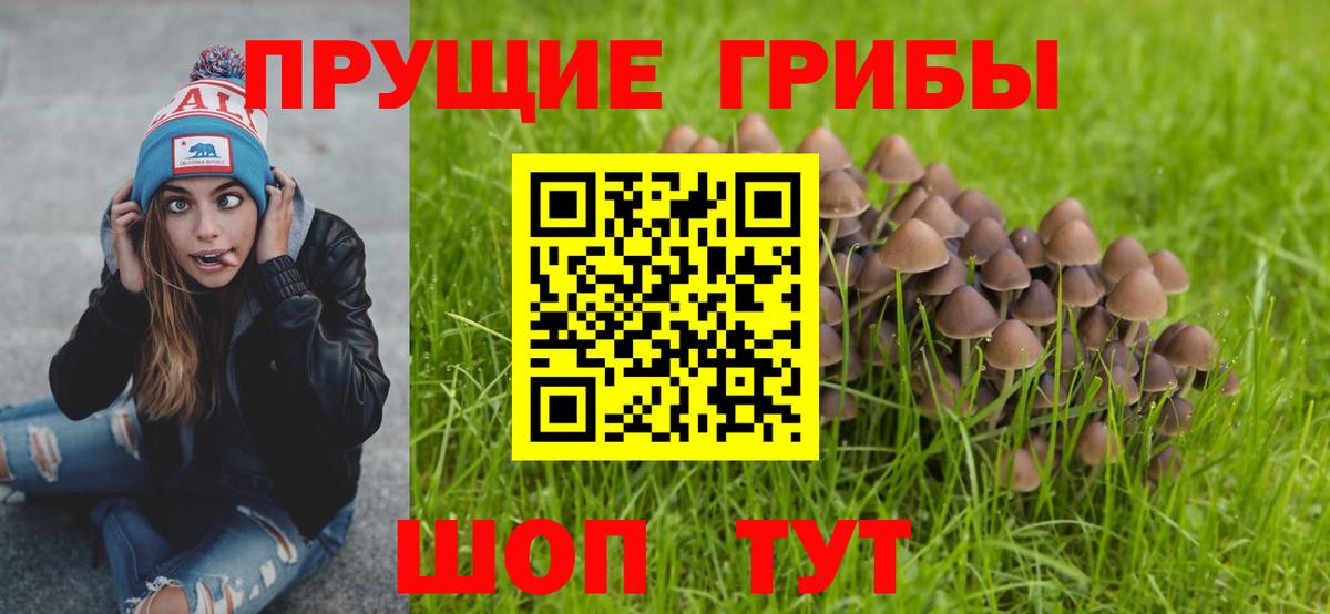 Псилоцибиновые грибы Magic Shrooms  купить наркотик  Учалы  Вход с VPN 